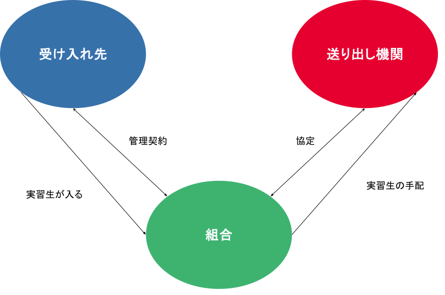 実習生制度の仕組み